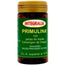 Integralia Primulina 100 Perlas 