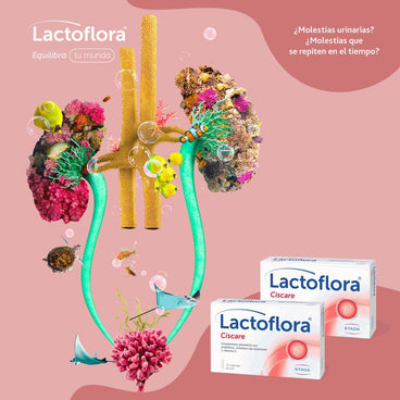 Lactoflora Ciscare 15 capsules
