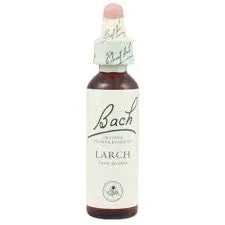 Bach Larch 20 ml