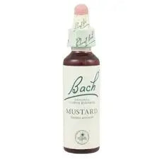 Bach Mustard 20 ml