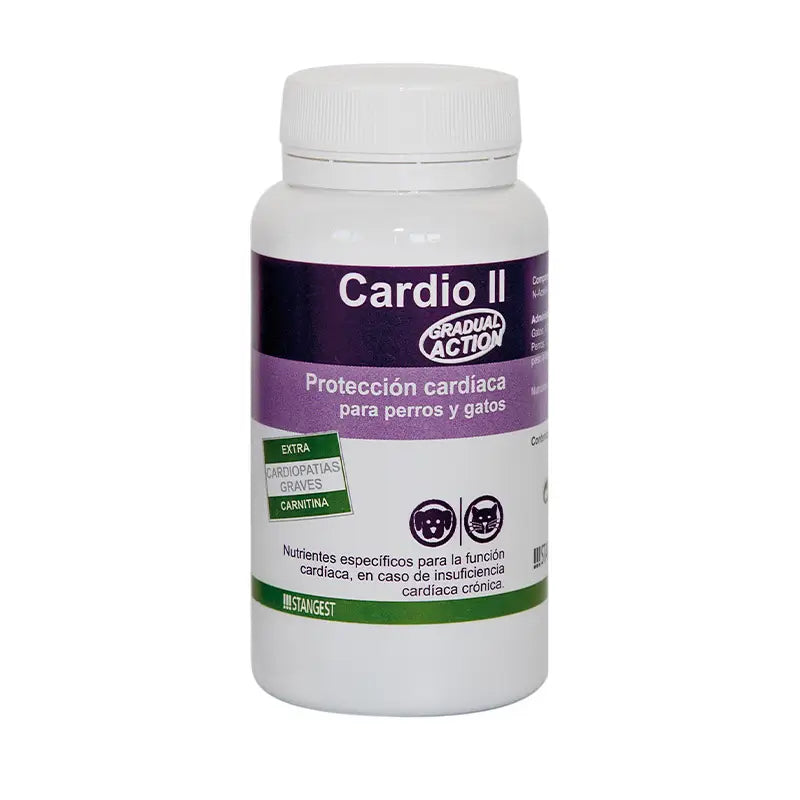 Stangest Cardio II Carnitine, 60 Comprimidos