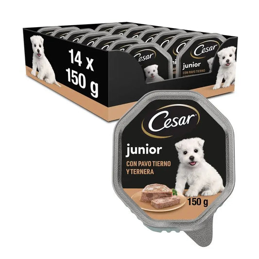 Buy Cesar Canine Puppy 14X150Gr at the best price