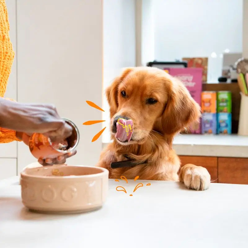 Edgar & Cooper Comida Húmeda Para Perros 6x400g Pollo Y Pavo, Manzana, Fresa Y Zanahoria