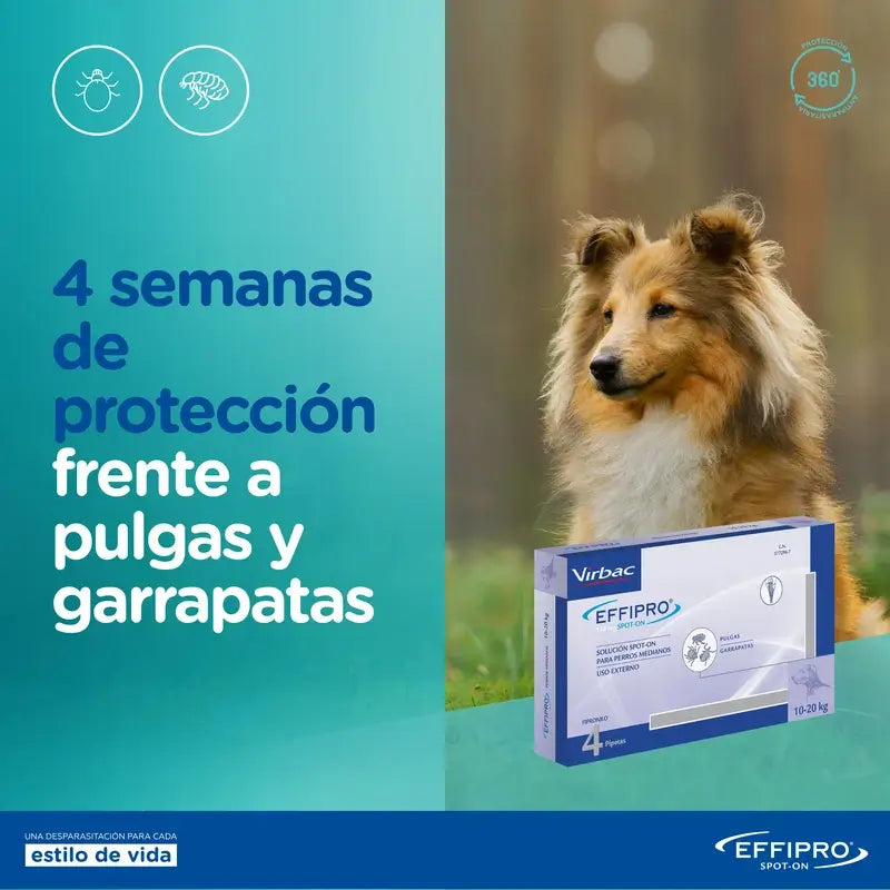 Effipro 268 Mg Spot-On Large Dogs 20-40Kg, 4 Pipettes