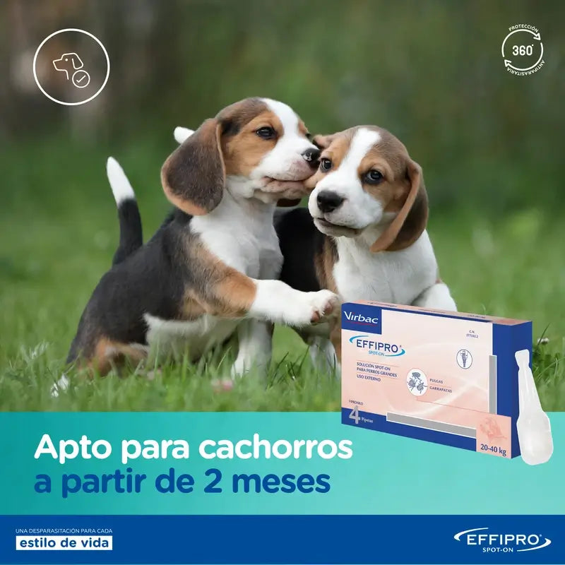 Effipro 268 Mg Spot-On Large Dogs 20-40Kg, 4 Pipettes