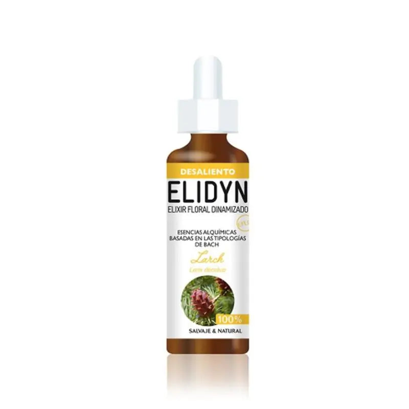 Elidyn Larch 20Ml.