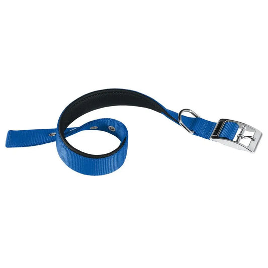 Ferplast Collar Nylon Daytona C 20 43 Azul