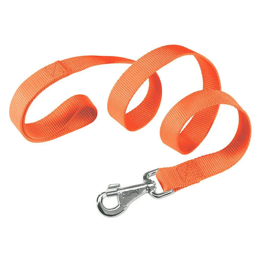 Ferplast Correa Nylon Club G10 120 Naranja