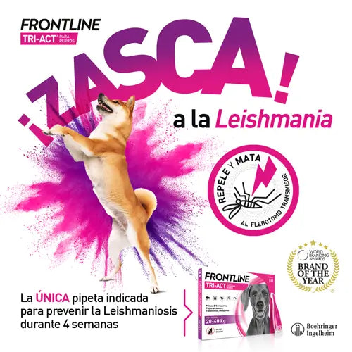 Frontline Tri-Act 2-5Kg 6Pip Xs