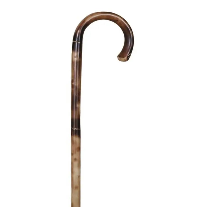 García 1880 Cane Chestnut Flamed, With Drawing, With Rubber