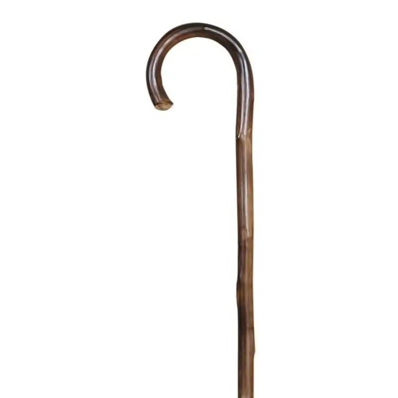 García 1880 Cane Flamed Chestnut, With Spike