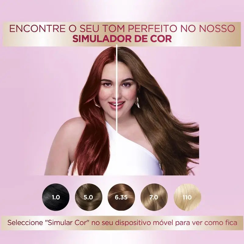 Garnier Color Sensation Cream Permanent Hair Color 3.16 Intense Violin