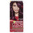 Garnier Color Sensation Cream Permanent Hair Color 3.16 Intense Violin