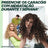 Garnier Fructis Curl Method #1 Shampoo For 72H Moisturised Curls 200Ml