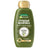 Garnier Original Remedies Olive Mythic Shampoo for Dry Hair 300ml