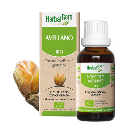 Herbalgem Avellano 50 ml