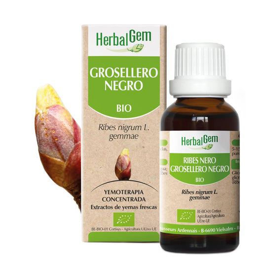 Herbalgem Grosellero Negro 15 ml