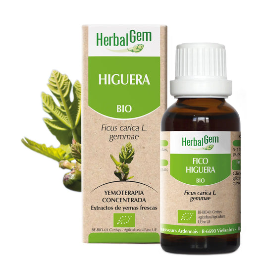 Herbalgem Higuera 50 ml