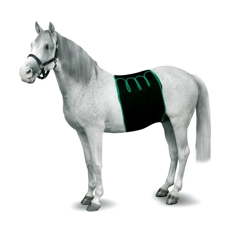 Kruuse Equine Venda Recovery  Size S