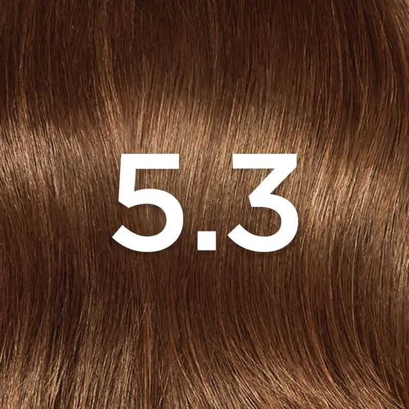 L'Oréal Paris Excellence Creme Permanent Hair Color - Shade 5.3 Praline Chocolate