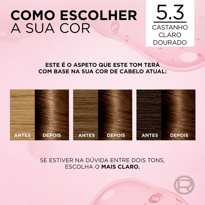 L'Oréal Paris Excellence Creme Permanent Hair Color - Shade 5.3 Praline Chocolate