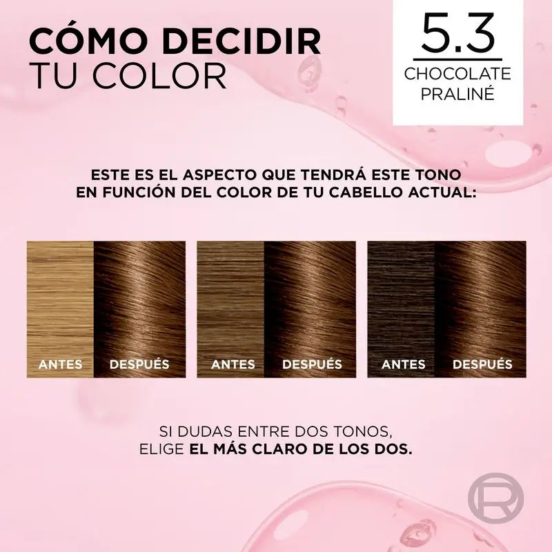 L'Oréal Paris Excellence Creme Permanent Hair Color - Shade 5.3 Praline Chocolate