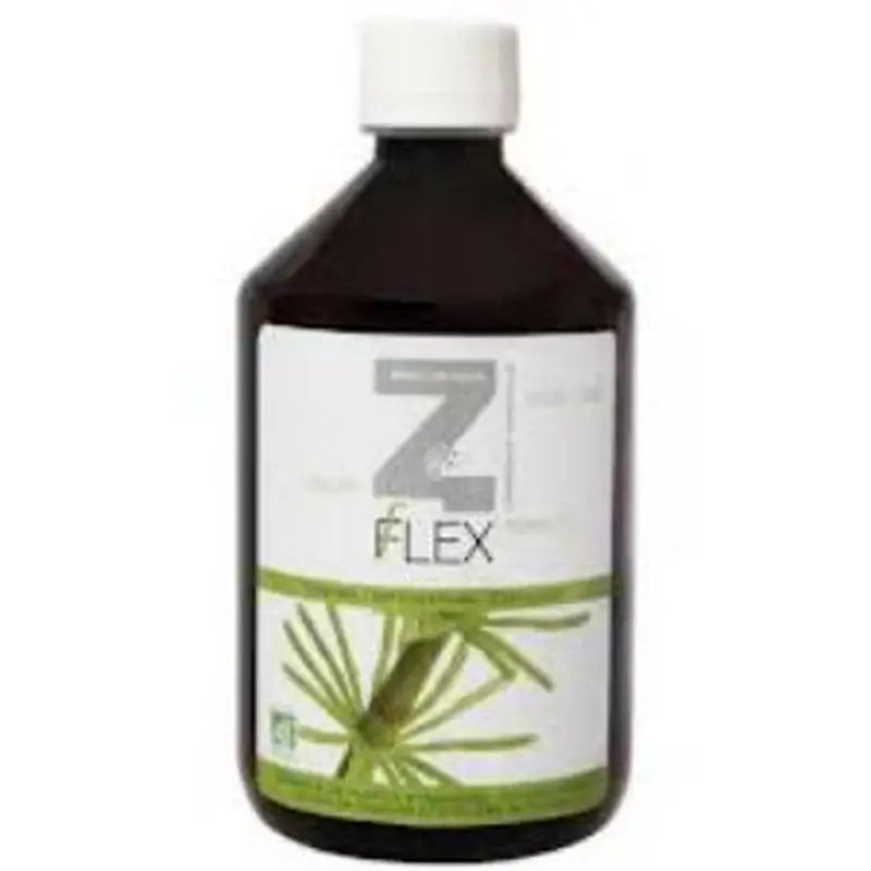 Mint-E Health Laboratories Z-Flex 500Ml.