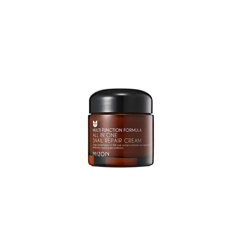 Mizon All In One Snail Repair Cream 75G