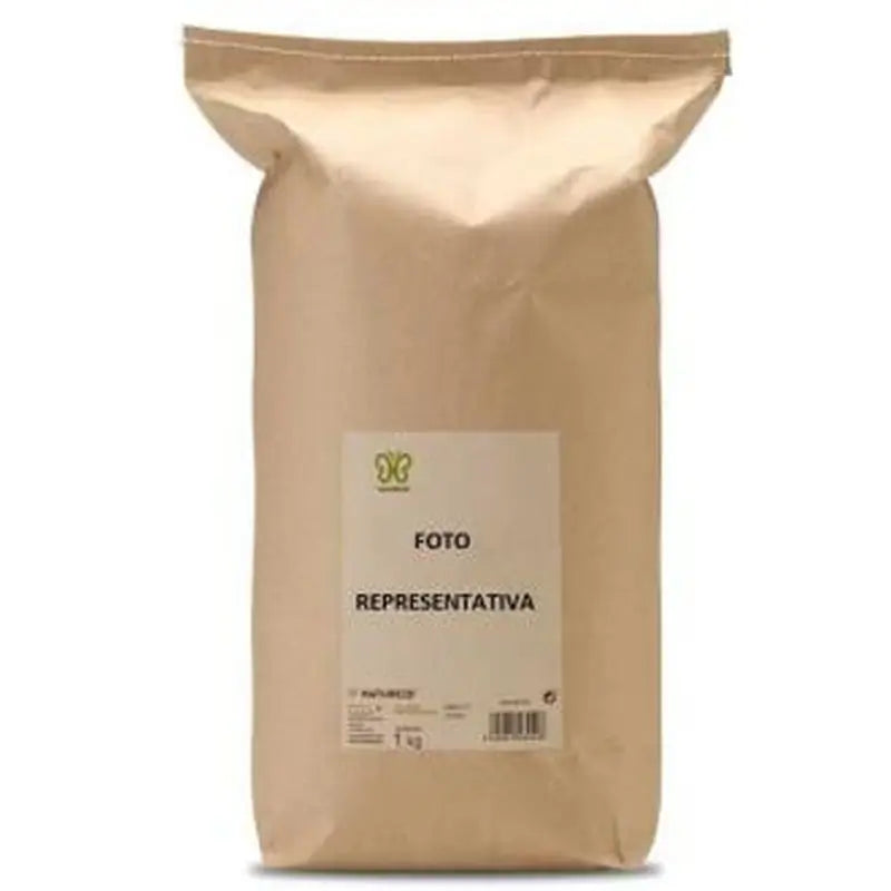 Naturcid Zaragatona 1Kg. 