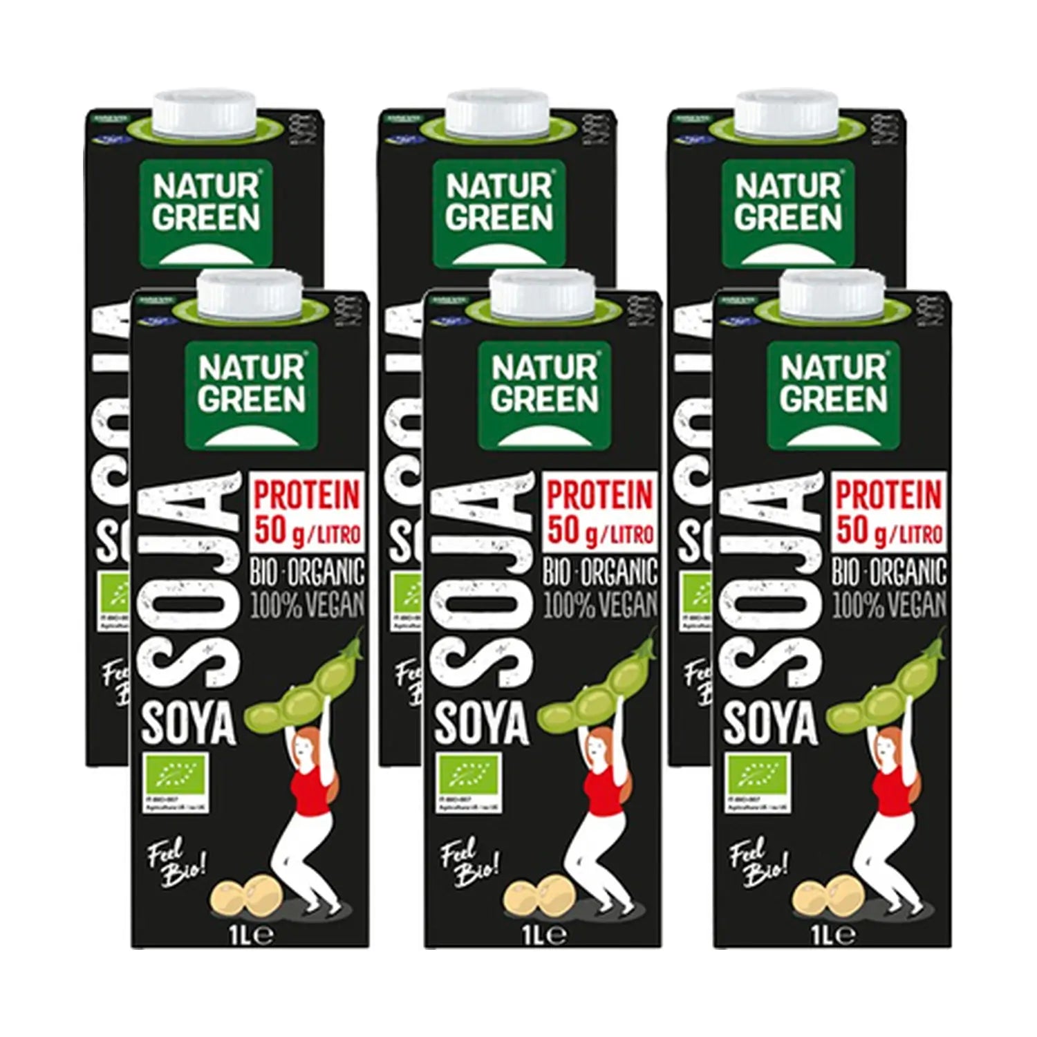 Naturgreen Soya Protein Drink Bio, 6 X 1L