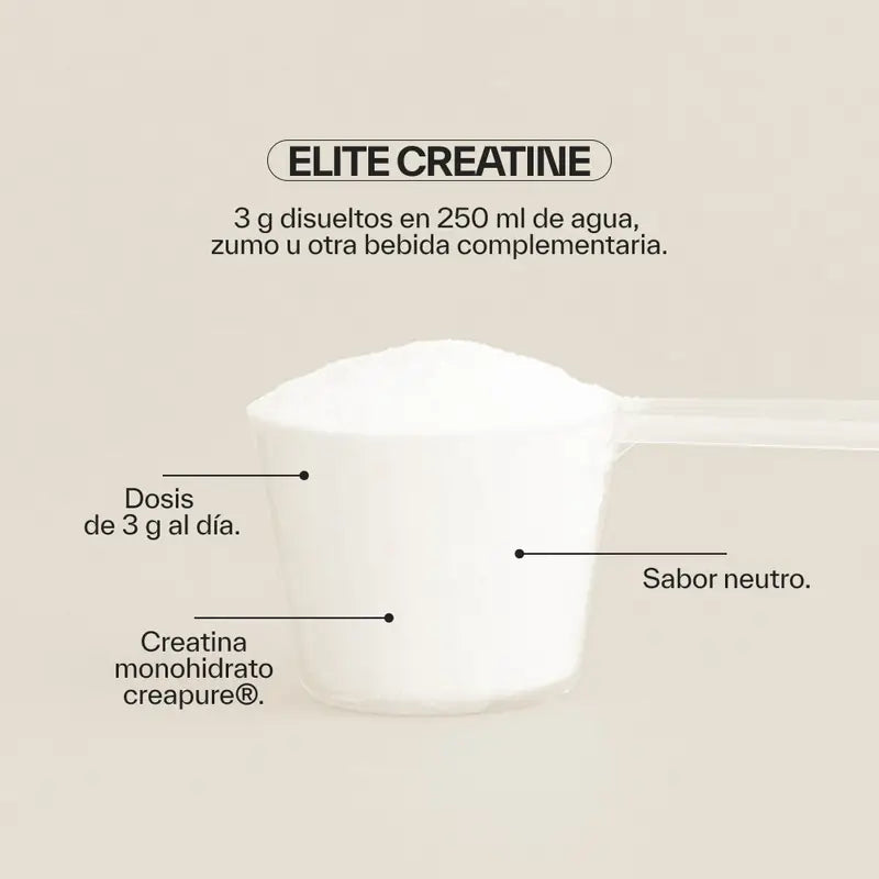 Ndl Pro-Health Elite Creatine Creapure , 300 g