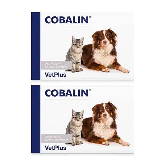 Pack Cobalin 2 x 60 capsules