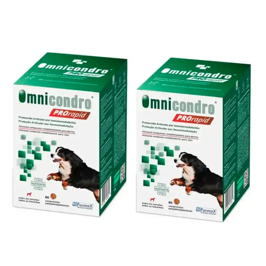 Omnicondro Prorapid Pack, 2 x 60 Tablets