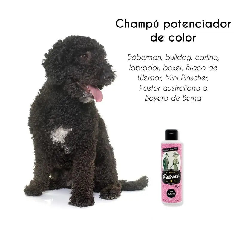 Petuxe Champú Potenciador Del Color (Cabello Negro Y Oscuro) 500 Ml