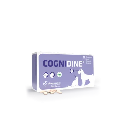 Cognidine, 60 Tablets