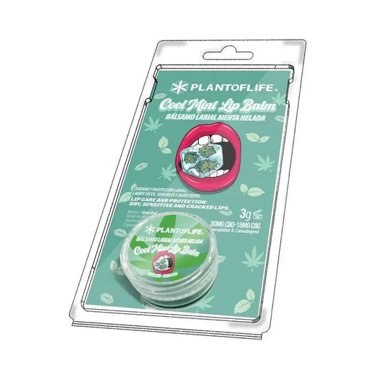 Plant Of Life Lipbalm Peppermint Ice 1% CBD - 0,5% Cbg , 3 g