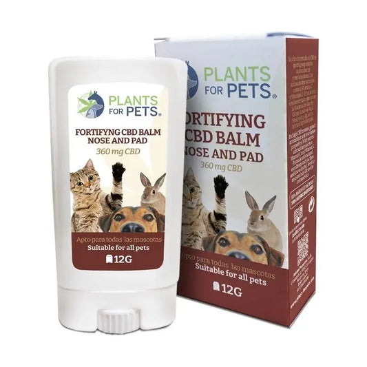 Plants For Pets Pets Fortifying Stick , 12 g