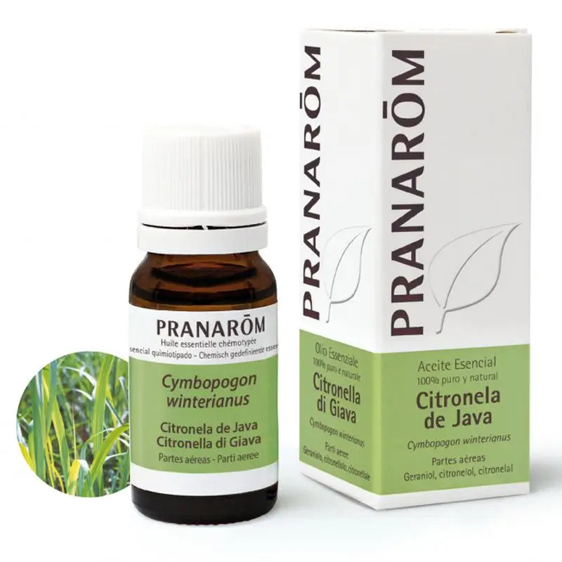 Pranarôm Java Citronella 10 ml