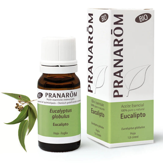 Pranarôm Eucalipto BIO, 10 ml