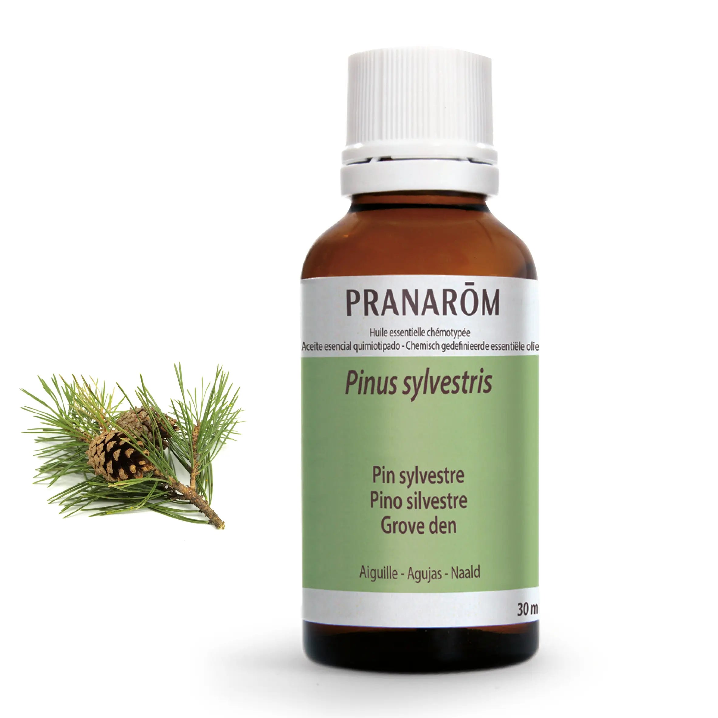 Pranarôm Pino Silvestre 30 ml