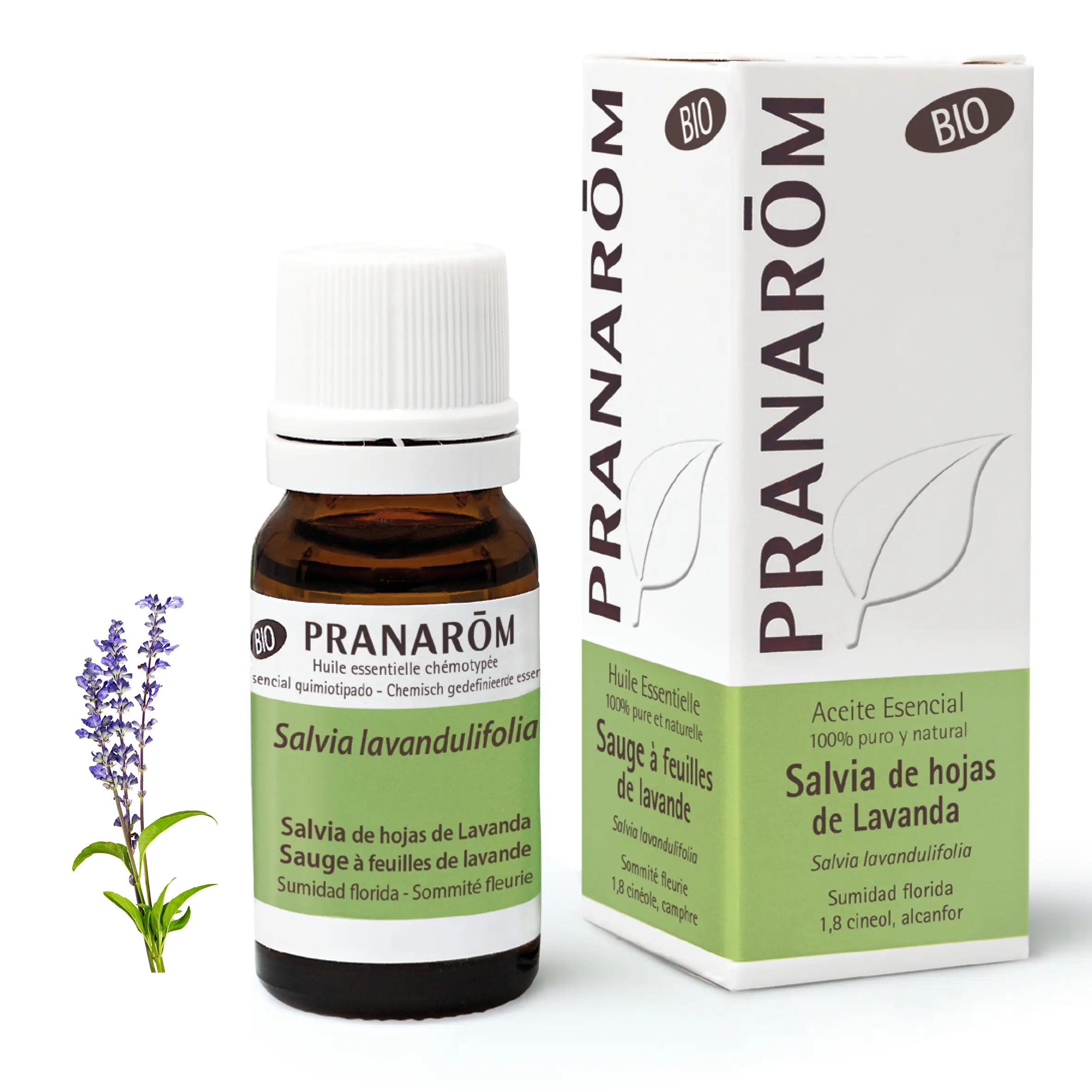 Pranarôm Salvia De Hojas De Lavanda BIO, 10 ml