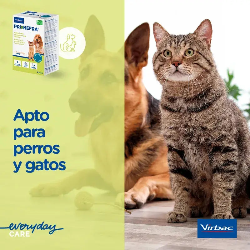 Virbac Pronefa Renal Supplement For Dogs and Cats, 180 ml