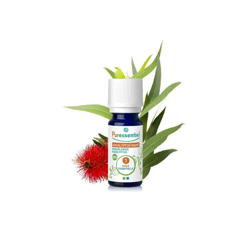 Puressentiel Essential Oil of Eucalyptus Radiata Bio, 10 ml