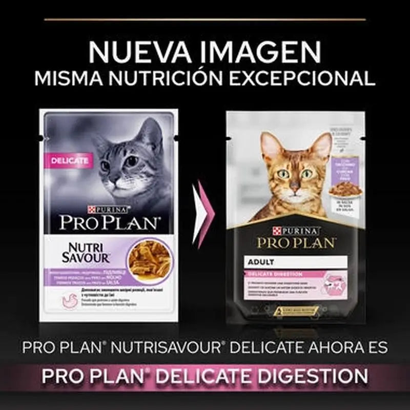 Purina Pro Plan Feline Delicate Turkey 26X85Gr, wet food for cats