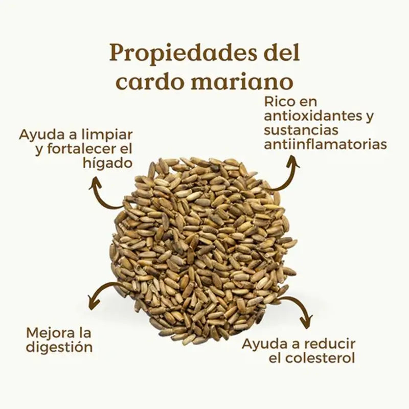 Replantea Semillas De Cardo Mariano Ecológica, 200 gr