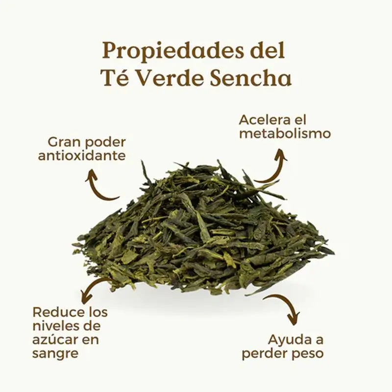 Replantea Té Verde Sencha Ecológico, 100 gr