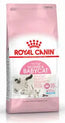 Royal Canin Babycat 2Kg, pienso para gatos