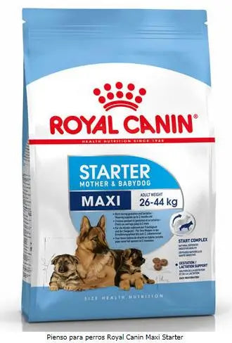 Royal Canin Starter Maxi 15Kg, pienso para perros