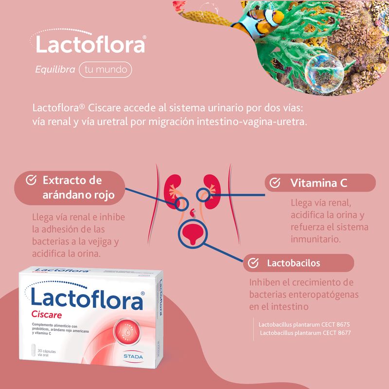 Lactoflora Ciscare 30 capsules