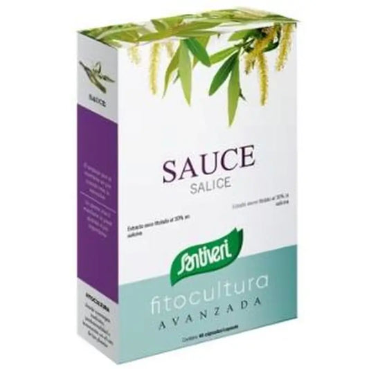 Santiveri Sauce 40Cap. 